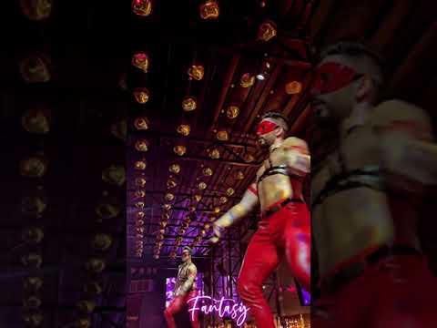 GoGo Dancers