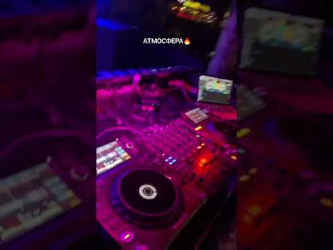 mcenzo 6