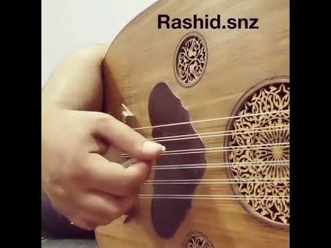 Rashid 7