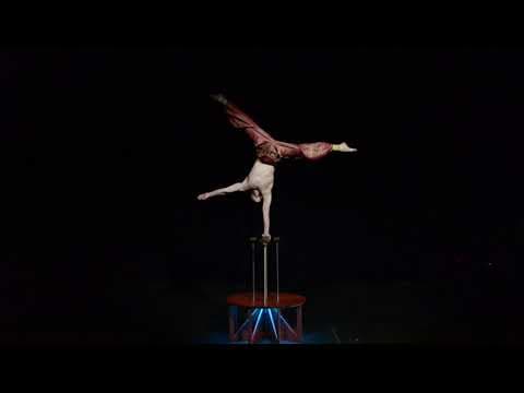 Handstand and contortion act