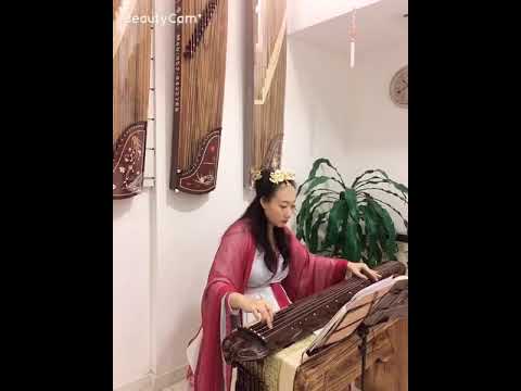 Guqin Musician