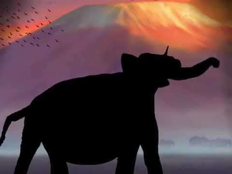 Lion King