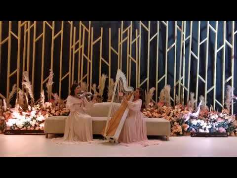 Harp & Violin Duo