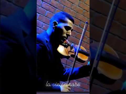 gammalmosaad 8