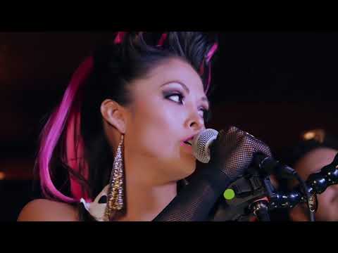 Live show band - male singer Zig Ronin