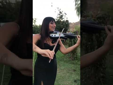 rebeccasviolin 3