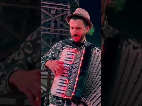 timofey musician 7