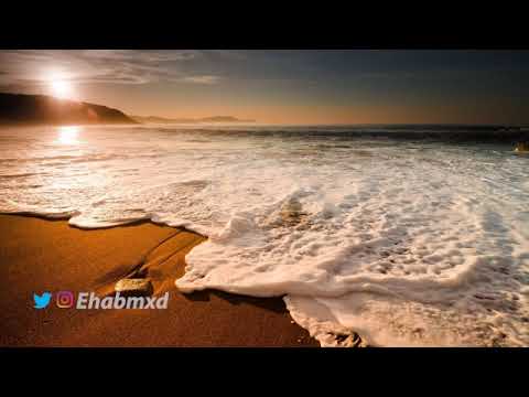 شايف البحر