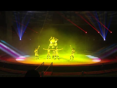 AFRICAN ACROBATIC CHEETAHS IN CHINA