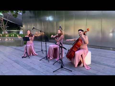 String Trio