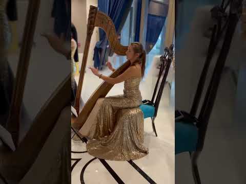Duo flute and harp