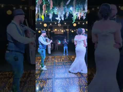 bishoy violinist 3