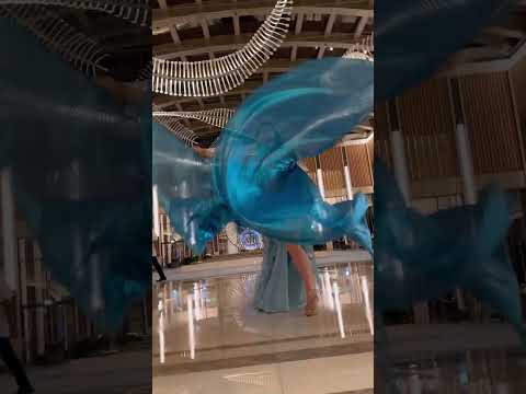 Blue ISIS wings bellydance
