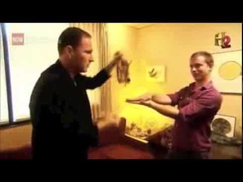 GUY BAVLI - STAN LEE'S SUPER HUMAN