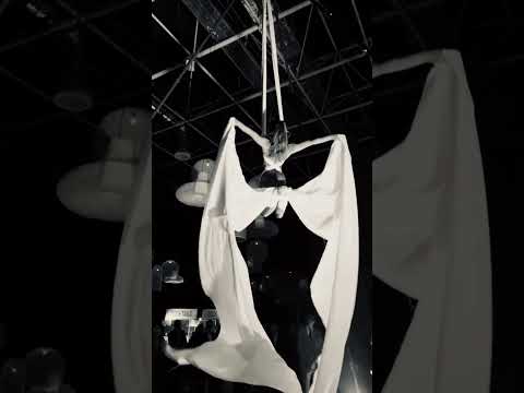 Aerial silks