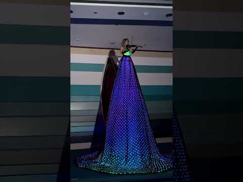 Pixel skirt violinist black & led peacock dancers