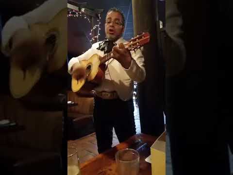 te amare toda la vida-Mariachi Los PLateados