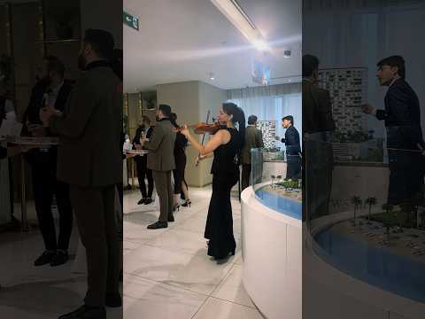 Live violin performance