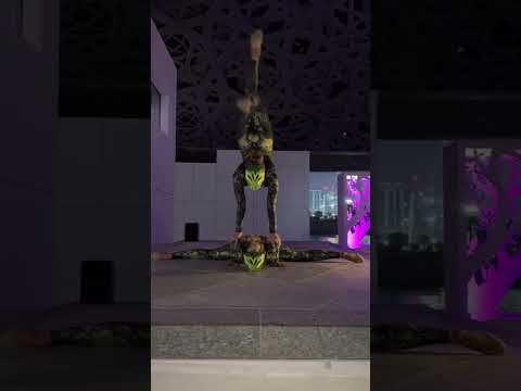Acro duo contorsionist act
