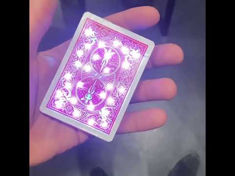 Nicolas 10