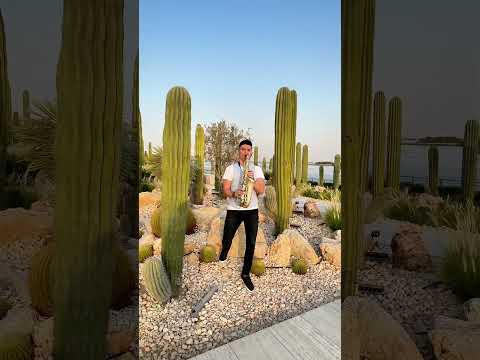 We Can´t Be Friends - Ariana Grande (Sax Cover) Ariel Saxo