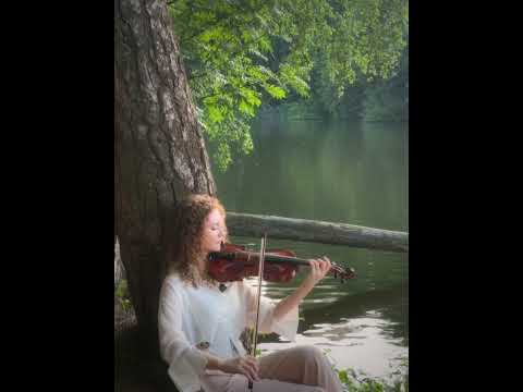 Violin Perfomance