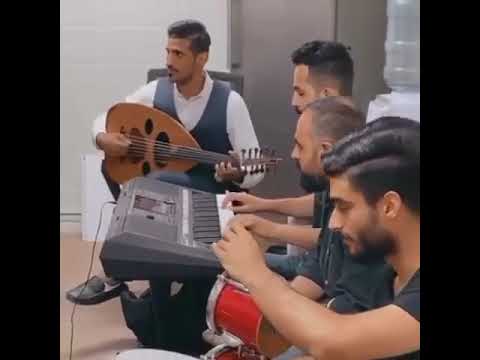 ali alyousef77 4