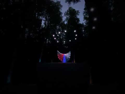 Fireflies Mini Drone Arts