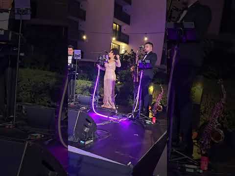 Trio Singer, piano and saxophonist