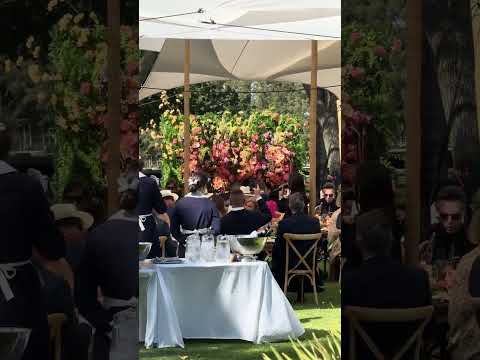 Carol Magagna - Wedding in Seville