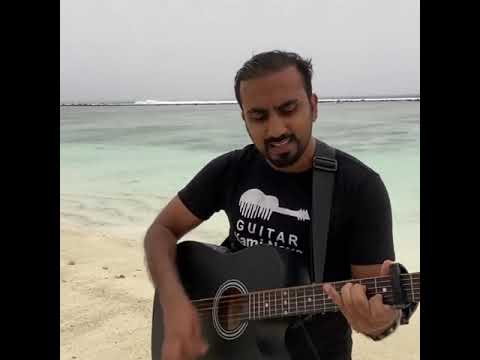 kami nova music