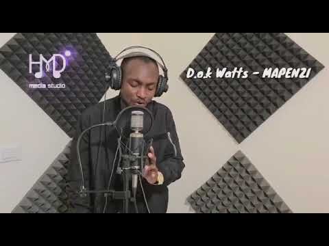 dokwatts 4
