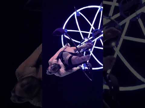 Aerial hoop