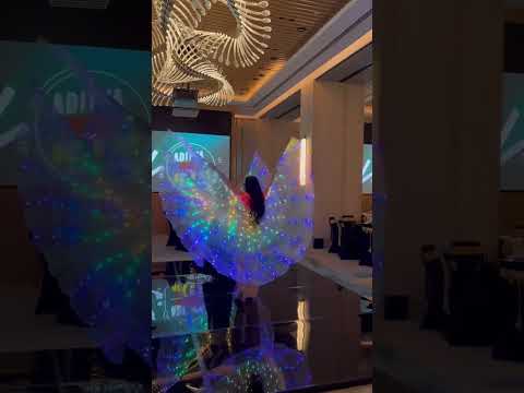 led show