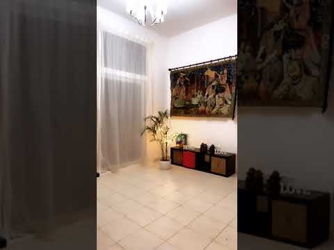 shaymabellydance 8