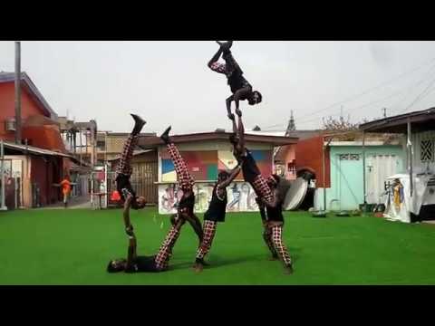 AFRICAN ACROBATIC CHEETAHS