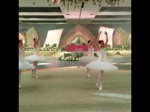 Ballerina Dance Show
