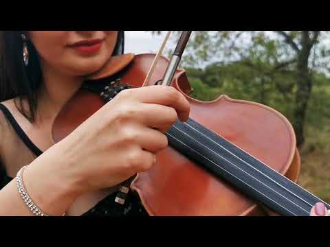 Arabic Violin