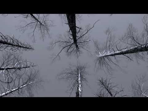 Andesh - Suicide