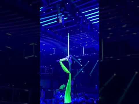 Aerial Silks