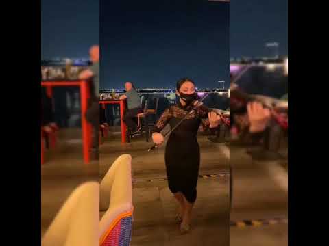 Violín