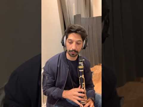 Dance monkey clarinet live