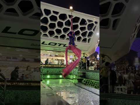 aerial silk