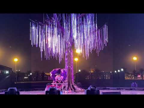 Butterflies Stage Acrobatic Show