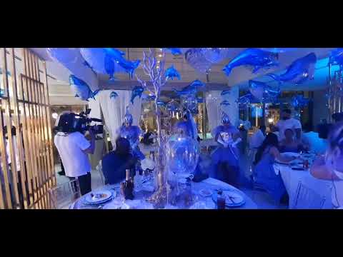 Underwater Shows