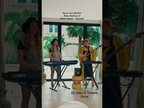 Dj with Electric Bass and Piano