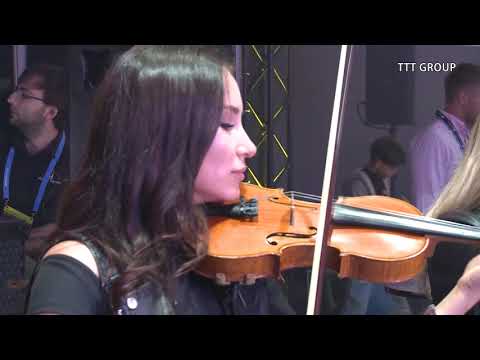 Zombie Cranberries violin cover Music