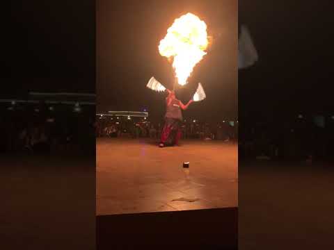 Desert Safari Performance
