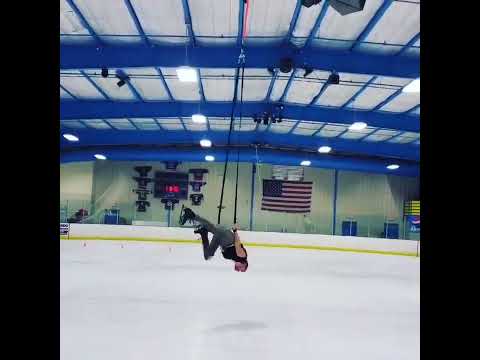 moose is loose1 2