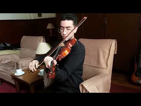 ebrahimsalehviolinist